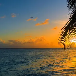 Mar Bonita Ii , Isabela Puerto Rico